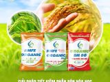 Giải pháp tiết kiệm phân bón hóa học – Tăng hiệu quả bằng sản phẩm hữu cơ BMFE