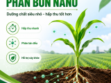 Phân Bón Nano Là Gì? Lợi Ích Cho Cây Trồng