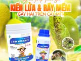 ហេតុអ្វីត្រូវគ្រប់គ្រងស្ទឹងភ្លើងក្នុងសួនចម្ការ?