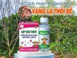 Vàng Lá Thối Rễ Trên Mít Ruột Đỏ – Nguyên Nhân, Triệu Chứng Và Giải Pháp Hiệu Quả