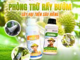 សត្វជាំបutterfly – គ្រោះថ្នាក់លាក់ខ្លួនលើដើមផ្លែឈើ និងដំណោះស្រាយគ្រប់គ្រងយ៉ាងមានប្រសិទ្ធភាពពី BMFE