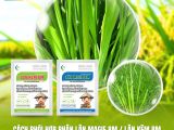 Phối Hợp Phân Lân Magie BM Và Lân Kẽm BM Giúp Lúa Đẻ Nhánh Khỏe, Tăng Khả Năng Đâm Chồi Mạnh Mẽ