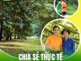 Chia Sẻ Thực Tế Vườn Sầu Riêng Miền Đông