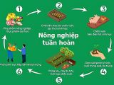 Nông Nghiệp Tuần Hoàn 2026: Bí Quyết Biến Phụ Phẩm Thành