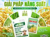 បង្កើនផលល្អិតស្រូវបានចន្លោះពី ១០% ដល់ ២០% ជាមួយ BM MAG និង BM MAP