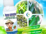 BM STOP – Giải pháp đột phá chặn đọt, kích hoa và nuôi trái sầu riêng hiệu quả