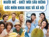 Người Mê - Kẻ Ghét Mùi Sầu Riêng: Góc Nhìn Khoa Học Và Sự Thật Ít Người Biết