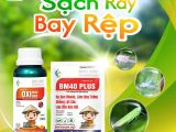 កម្ចាត់សត្វល្អិត និងសត្វជាំនៅរដូវវស្សាឱ្យមានប្រសិទ្ធភាព ជាមួយ Oxi Plus 20EC និង BM40 Plus ពីក្រុមហ៊ុន BMFE CORP