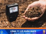 Kỹ Thuật Quản Lý pH Đất: Bí Quyết Cải Tạo Đất Phèn Nâng Cao Năng Suất