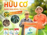 Phân Bón Hữu Cơ BMFE – Giải Pháp Được Nhà Nông Tin Dùng, Bán Chạy Nhất 2025
