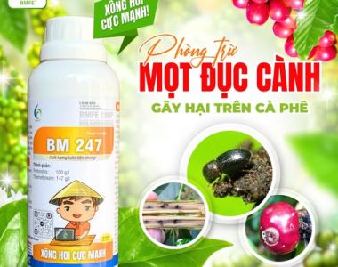BM 247 – ដំណោះស្រាយប្រកបដោយប្រសិទ្ធភាពសម្រាប់ការការពារ និងបំបាត់ព្រិលជាងសាខាកៅស៊ូ