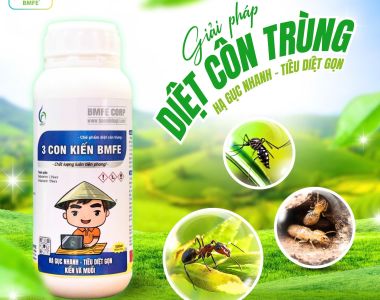 ដំណោះស្រាយបំបាត់សត្វល្អិតប្រកបដោយប្រសិទ្ធភាព – 3 CON KIẾN BMFE