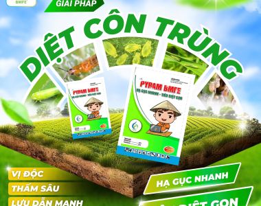 PYRAM BMFE – ថ្នាំសម្លាប់សត្វល្អិតប៉ក់ចិត្តបានលឿន និងមានប្រសិទ្ធភាព