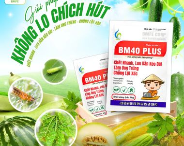 BM40 PLUS – ដំណោះស្រាយការពារច្បាស់លាស់ចំពោះសត្វល្អិតបំបៅទឹកលើដំណាំទំពាំងបាយជូរ បុរេ ប៉េងបោះ និងបន្លែផ្សេងៗ