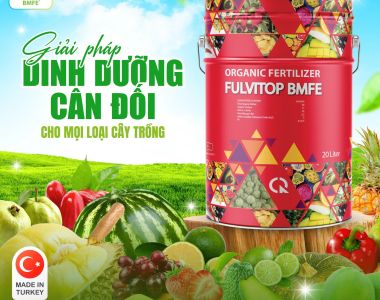 FULVITOP BMFE – ជម្រើសជាតិជើមសរីរាង្គដែលសមរម្យសម្រាប់រុក្ខជាតិនានា