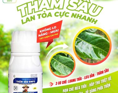 THAM SAU BMFE – ដំណោះស្រាយបច្ចេកវិទ្យាសម្រាប់កសិកម្មប្រសិទ្ធភាពខ្ពស់