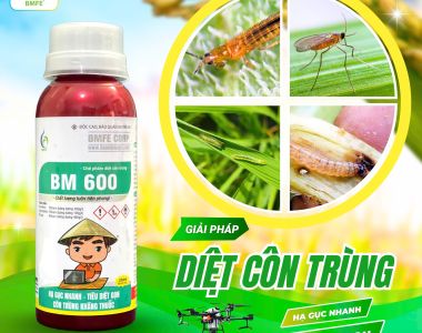 BM600 – ដំណោះស្រាយខ្លាំងប្រឆាំងសត្វល្អិតធន់ថ្នាំពីក្រុមហ៊ុន BMFE CORP
