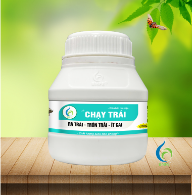 CHẠY TRÁI SẦU RIÊNG BMFE 240ml