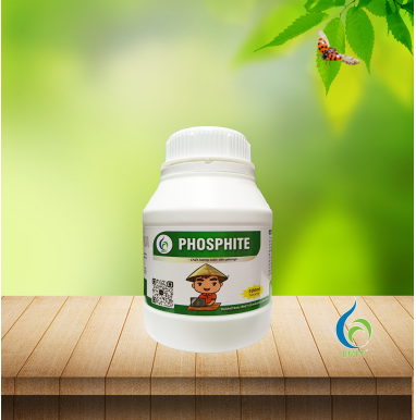 PHOSPHITE BMFE – Giải Pháp Phosphite Thế Hệ Mới Giúp Cây Tăng Sức Đề Kháng & Phát Triển Mạnh Mẽ
