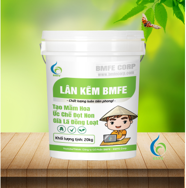 Lân Kẽm BM 20kg, 10kg & 500g | Tạo Mầm Hoa, Ức Chế Đọt Non