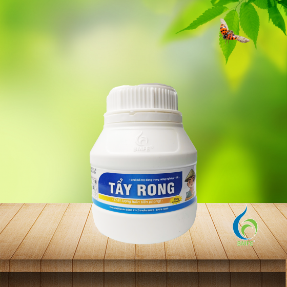 TẨY RONG – Giải pháp làm sạch rong rêu hiệu quả